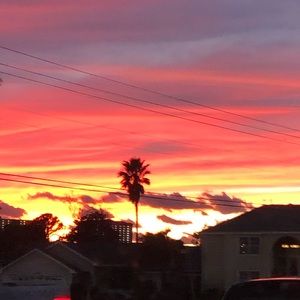 Meet your Posher, Willie